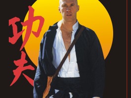功夫全明星(功夫全明星手游下载)