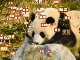 熊猫的后现代生活(熊猫现在的生存状态是怎样)
