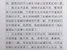 与爱同行作文(与爱同行作文600字)