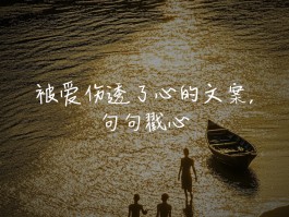受伤的心还可以爱谁(受伤的心还可以爱谁小说)