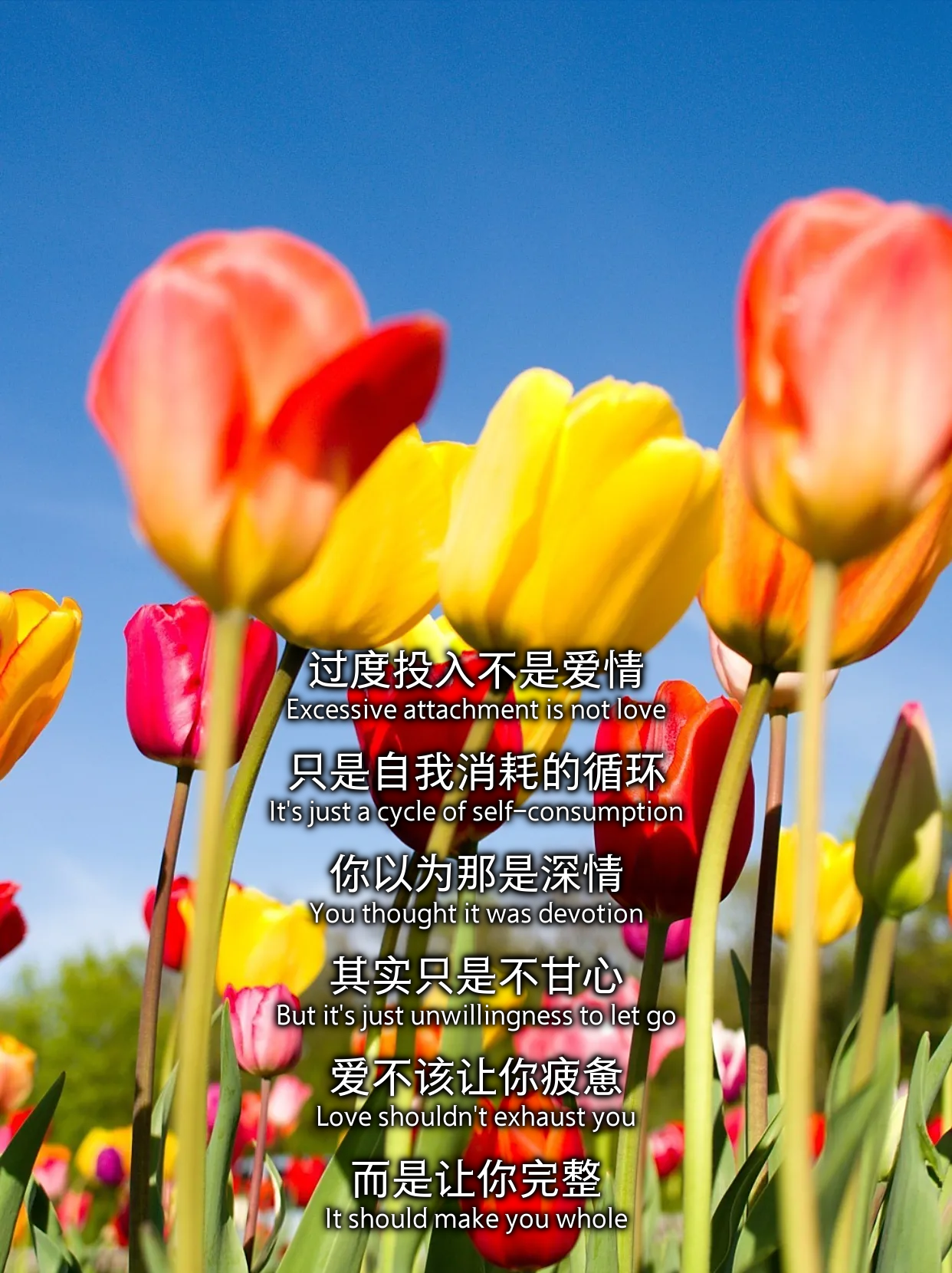 透支的爱情(透支的爱情原原结婚了吗) 透支的爱情(透支的爱情原原结婚了吗)